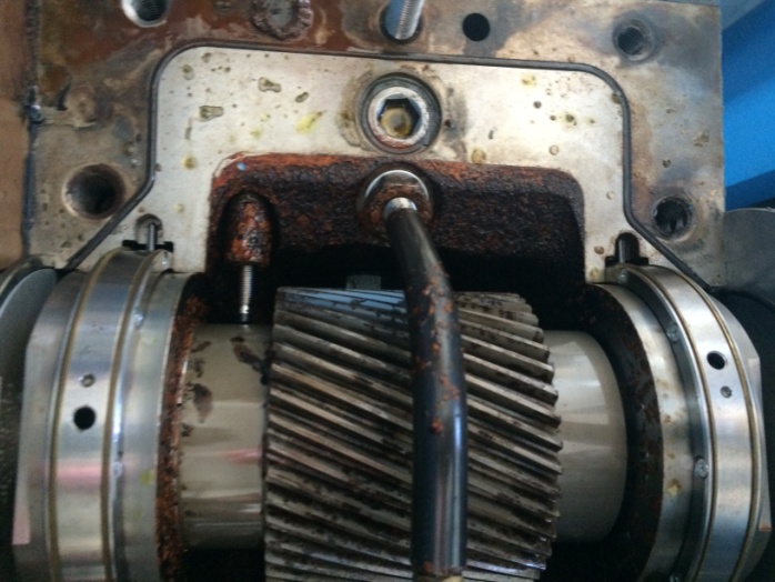 新疆伊力特化工